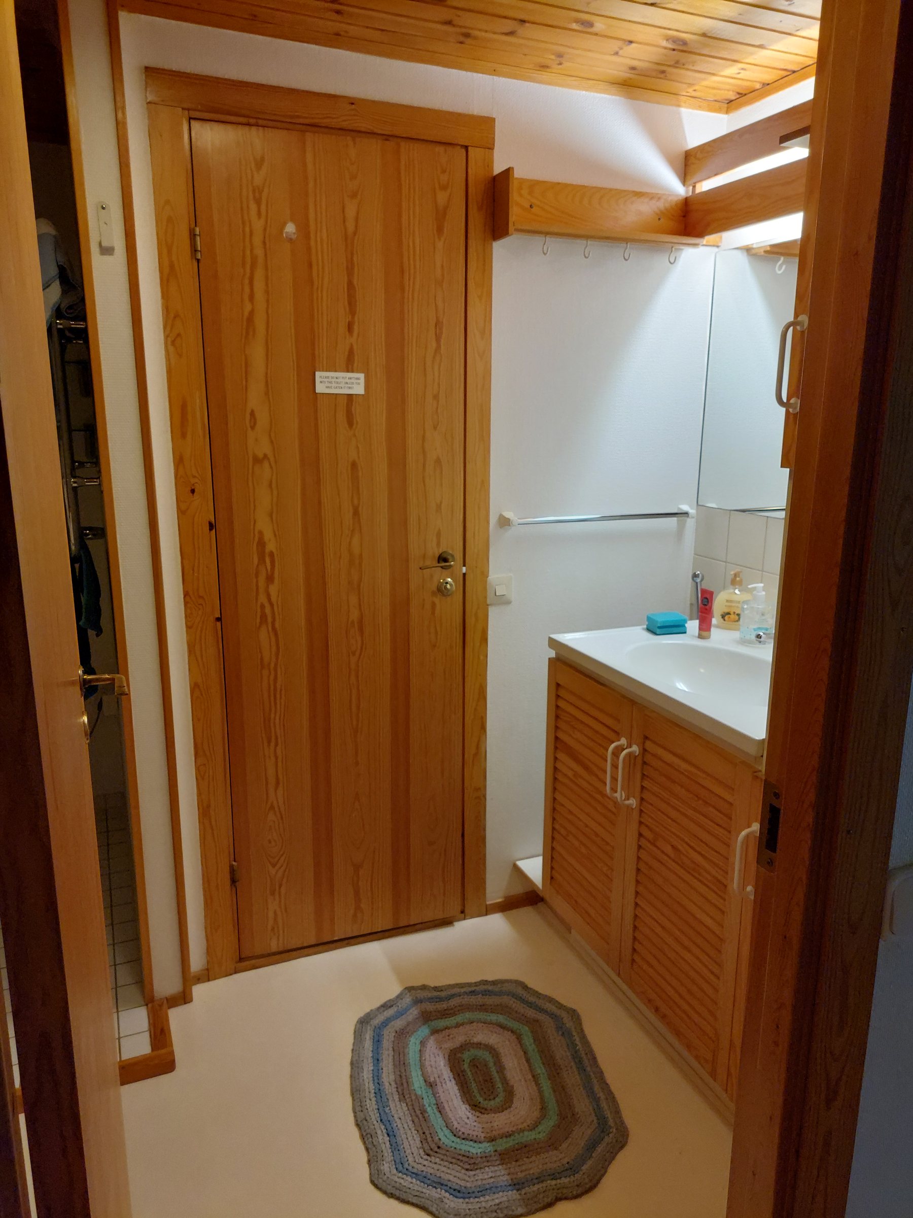 Timber-lined bathroom with sauna-style door and woven rug