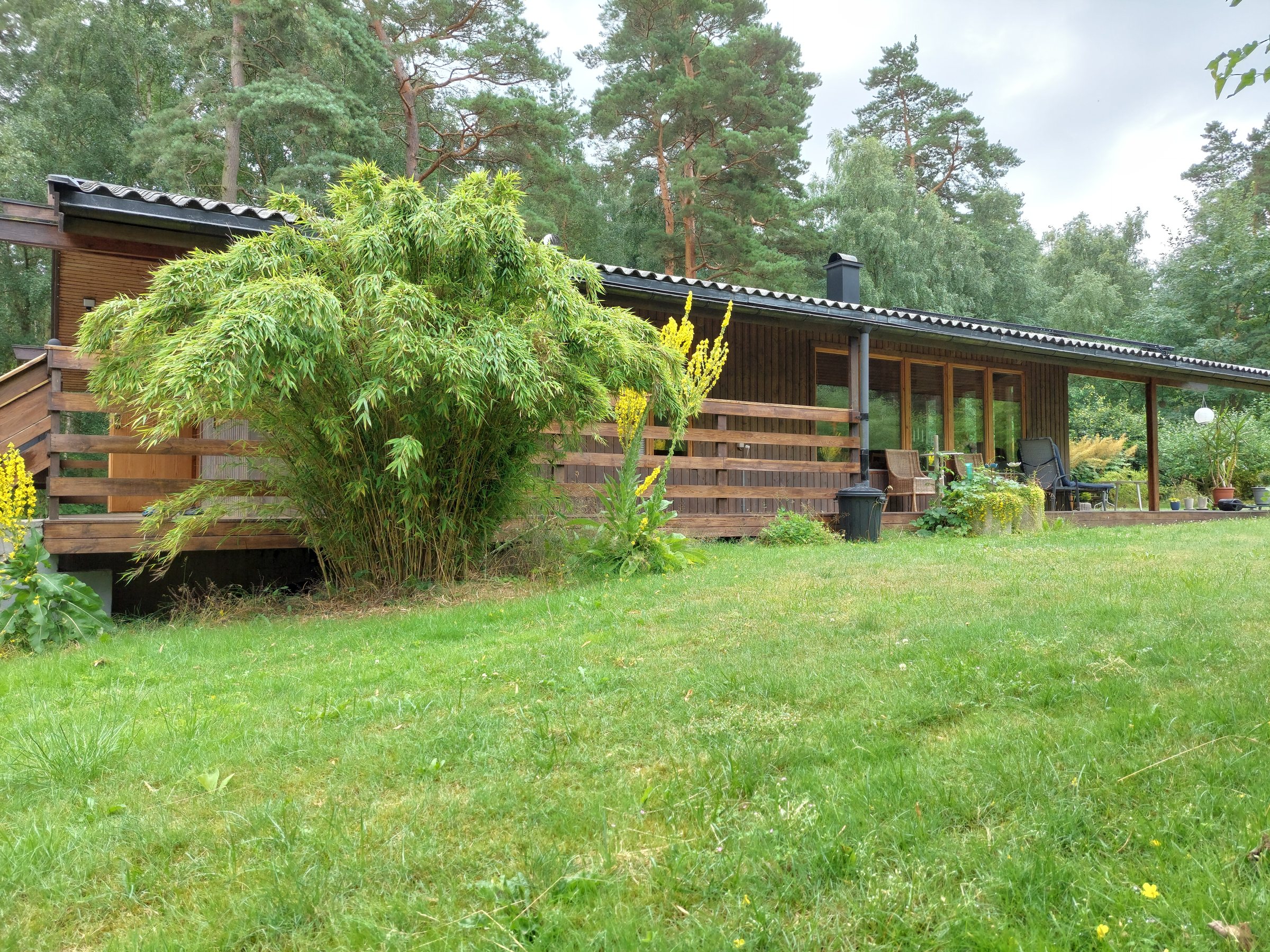 Timber villa surrounded by garden and forest in Saxtorp, Sweden, on a bright summer day