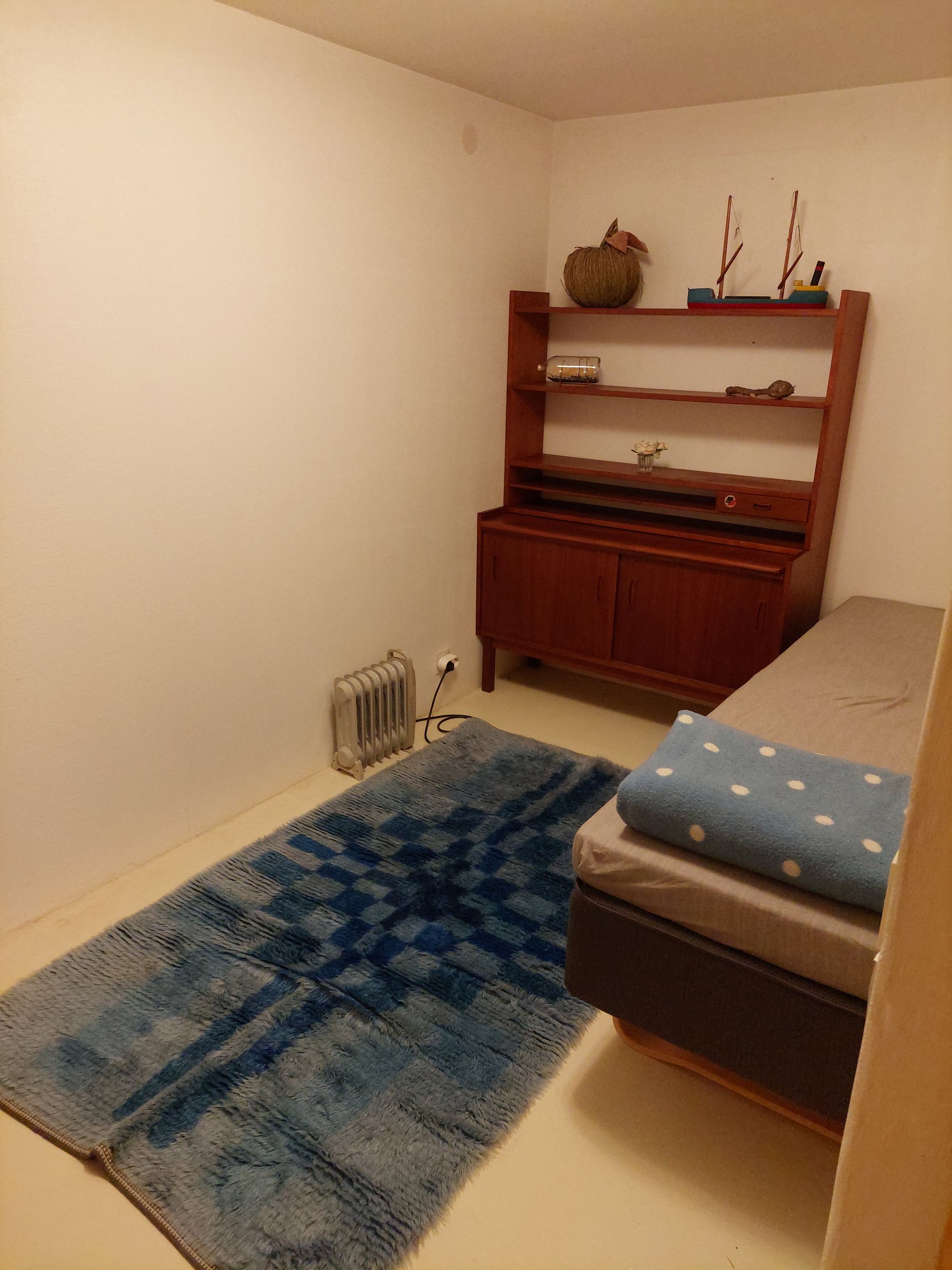 Basement single room with dresser and rug
