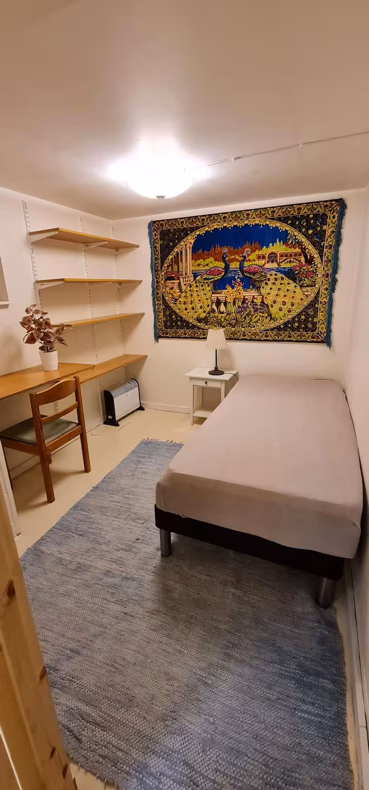 Basement single room with desk and shelving