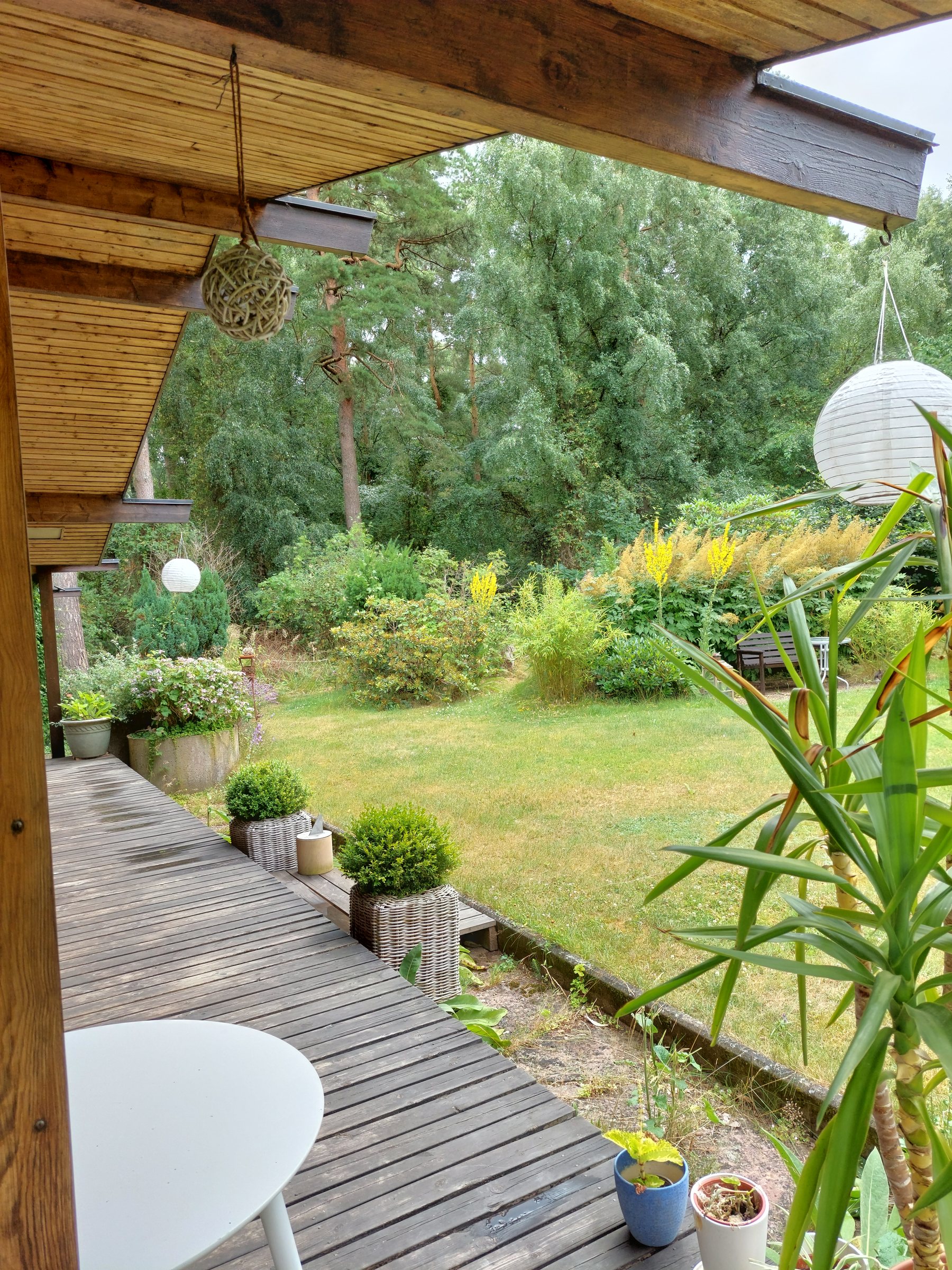 Covered deck and open lawn bordered by forest, seen from the garden