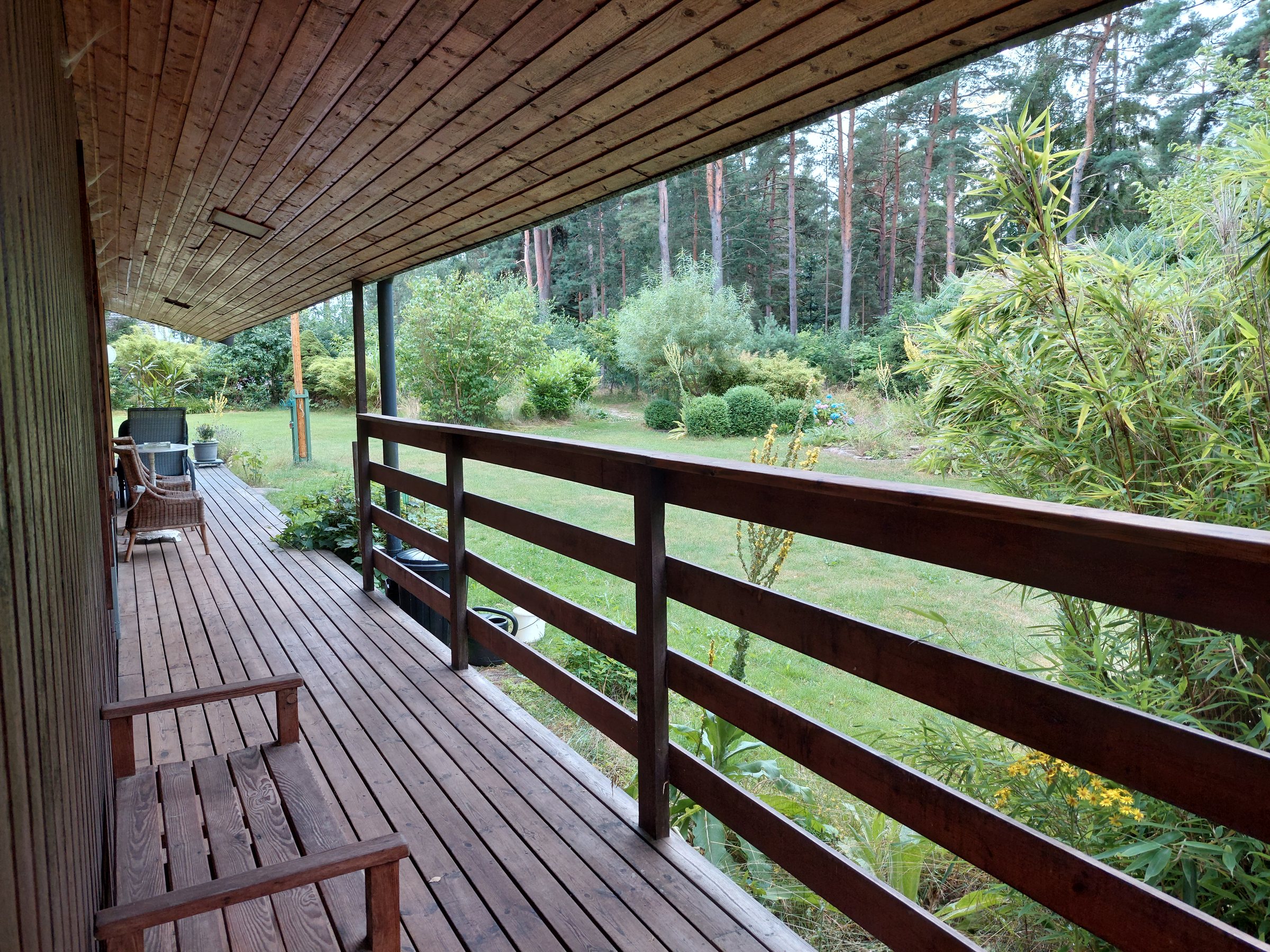 Covered balcony looking directly onto the forest edge